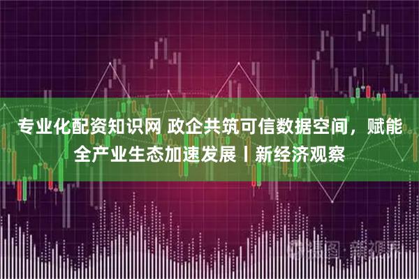 专业化配资知识网 政企共筑可信数据空间，赋能全产业生态加速发展丨新经济观察