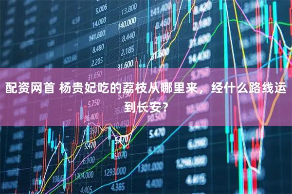 配资网首 杨贵妃吃的荔枝从哪里来，经什么路线运到长安？