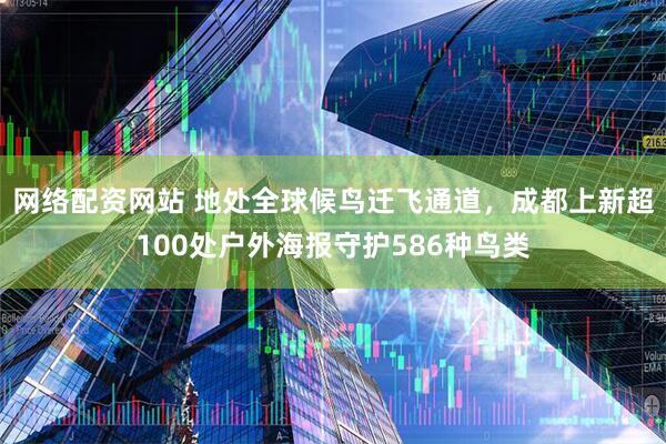网络配资网站 地处全球候鸟迁飞通道，成都上新超100处户外海报守护586种鸟类