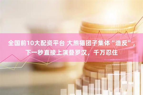 全国前10大配资平台 大熊猫团子集体“造反”，下一秒直接上演叠罗汉，千万忍住